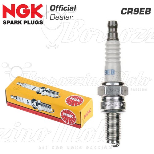 Spark plug ngk - plug,