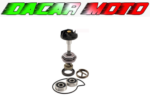 Water pump overhaul kit