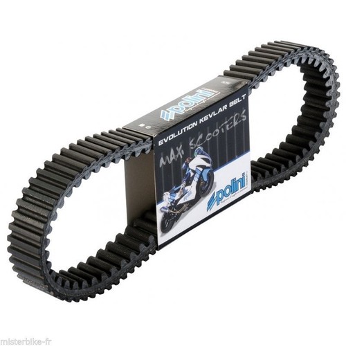 Racing belts kevlard polini - racing,